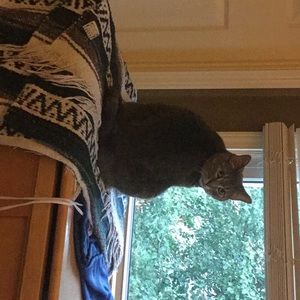 Meet your Posher, Dana